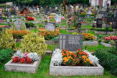 Оформление надгробий памятников на могилах