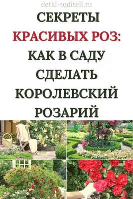 Green Workshop - Роза Heimatmelodie , в переводе с... | Facebook