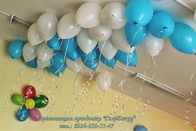 Оформление воздушными шарами – оптимальный способ преобразить любой  праздник | Пресс релизы | АССбуд — строительный портал