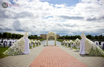 Выездная регистрация: полное руководство по декору - Weddywood