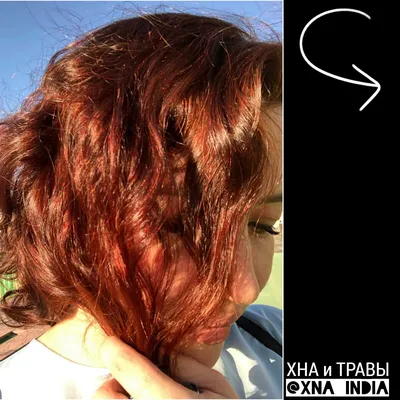 Истории красоток с самым сексуальным цветом волос, почему рыжие — ведьмы, рыжие  волосы - 16 апреля 2023 - НГС