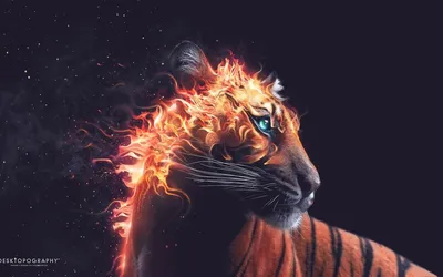 Красивый огненный тигр, который …» — создано в Шедевруме