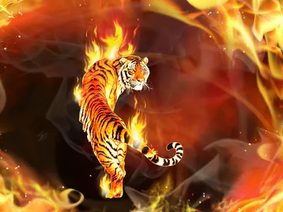Картина “Огненный тигр – 3” | PrintStorm