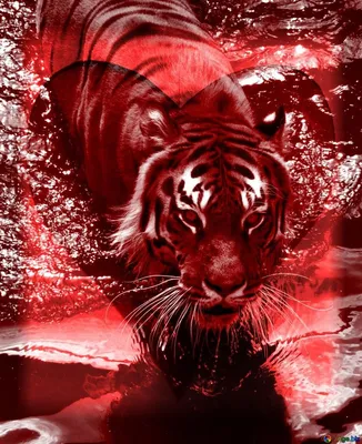 Картинки тигр в огне - 77 фото