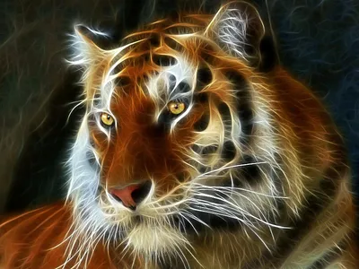 Картина по номерам на холсте с подрамником 50х40 см \"Огненный тигр\" купить  по цене 439 ₽ в интернет-магазине KazanExpress