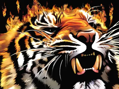 Яркие картины с Тигром маслом на холсте Картины животных Огненный Тигр в  интернет-магазине Ярмарка Мастеров по цене 50830 ₽ – TIQN2BY | Картины,  Санкт-Петербург - доставка по России