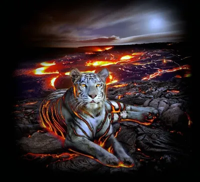 Кулон Огненный Тигр — Купить на BIGL.UA ᐉ Удобная Доставка (683735261)