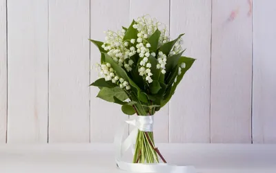 Купить огромный букет белых тюльпанов 2500 р. в интернет магазине Модный  букет с доставкой по Москве