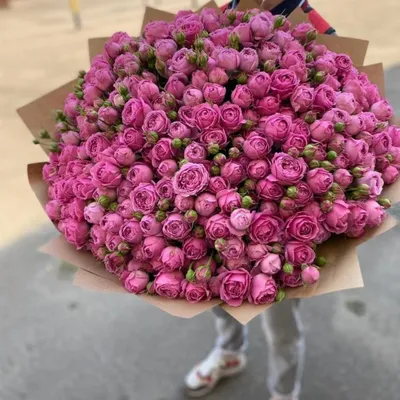 baumarket_of_flowers - Огромный букет белых роз🤩 Думаю, слова тут излишне  🙌 📞Tel,What/App+7(925)919-49-97📲📩 🚖Бесплатная Доставка по Москве и МО  . . . #501роза | Facebook