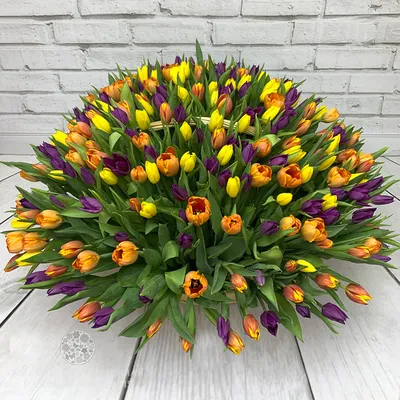 Tulipa. Жёлтый большой букет тюльпанов по цене 8700 ₽ - купить в RoseMarkt  с доставкой по Санкт-Петербургу
