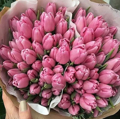 Корзина из 151 тюльпана, цветы и подарки в Адлере, купить за 32 900 ₽ |  Фото, отзывы, цены