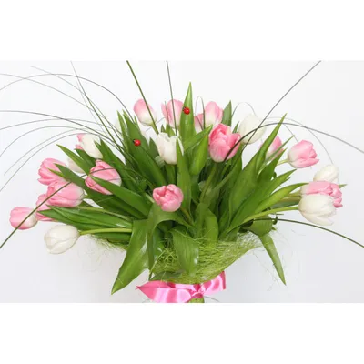 Большой букет тюльпанов на 8 марта, живые цветы — купить в  интернет-магазине по низкой цене на Яндекс Маркете