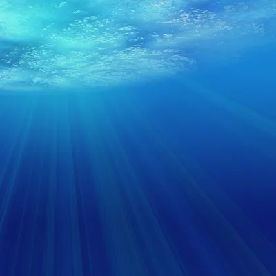 океан, под водой - скачать бесплатные обои / oboi7.com