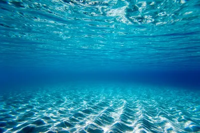 Картинки океана под водой - 64 фото
