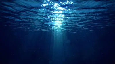 Под водой обои (58 фото) - 58 фото