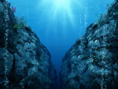 Скачать 938x1668 океан, камни, подводный мир, под водой обои, картинки  iphone 8/7/6s/6 for parallax