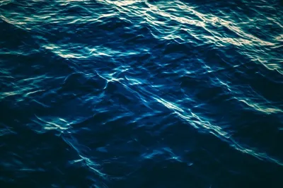 Океан под водой - 61 фото