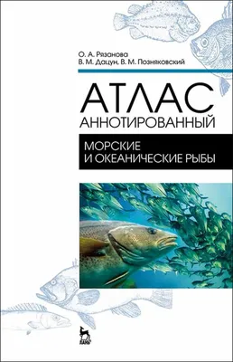 Морские рыбы - Аквариумы, аквариумные аксессуары и рыбки, установка и  обслуживание аквариумов в Новосибирске, зоотовары, фонтаны, водопады -  Аквасервис, аквариумные салоны в Новосибирске