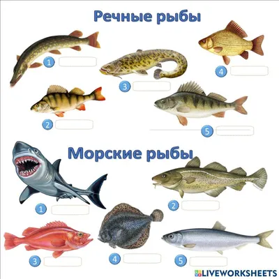 Удивительный подводный мир,,коралловые…» — создано в Шедевруме