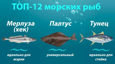 Фигурки-тянучки антистресс «Морские рыбы» 17 см. из термопластичной резины  / 2 штуки, A126-PDQ