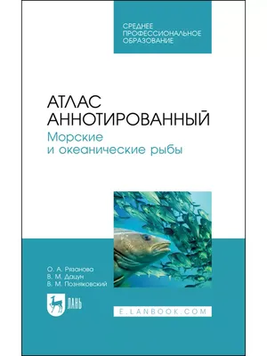 Морские рыбы стоковое изображение. изображение насчитывающей подводно -  150512433