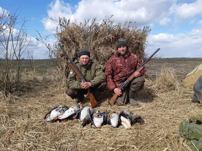 Охота на гуся в Калмыкии - Русский охотничий портал