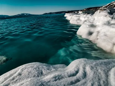 11 интересных фактов про Охотское море | Ресторан Селёдочная | Дзен