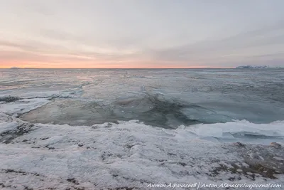 Охотское море весной