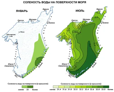 О Вселенной по имени Охотское Море – Моя родина – Магадан