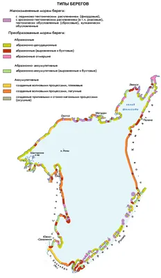 Охотское море: Кэмп по плаванию с гренландскими китами