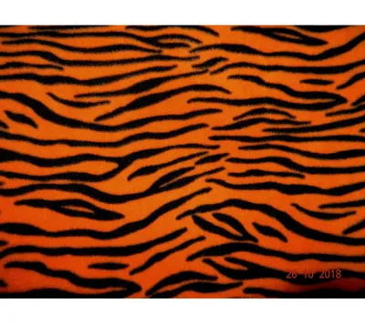 Почему яркий окрас не мешает тиграм успешно охотиться? — Музей фактов