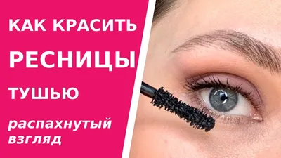 Краска для бровей Permanent eyebrow tint, SHIK купить за 550 руб с  доставкой по всей РФ