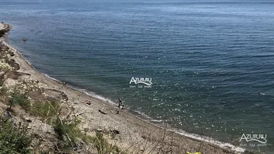 Толпа купальников на пляже в Черном море Ольгинка Краснодарский край  Редакционное Стоковое Фото - изображение насчитывающей курорт, люди:  156989168