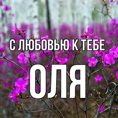 Чай черный подарочный \"Фруктовый букет\" ОЛЯ подарок на 8 марта день  рождения просто так любимой маме сестре подруге - купить с доставкой по  выгодным ценам в интернет-магазине OZON (504919341)