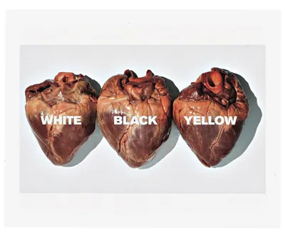 The Legacy of Oliviero Toscani - Visual Communication