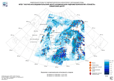 Купить Оловянная кружка для пива объемом пол-пинты: 0.284 л (пол-пинты),  WP-C228 - Магазин пивных кружек