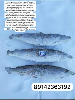 Омуль ХК, 1 кг | купить деликатесы в Новосибирске | PrimeFish | Закажите  доставку!