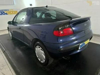 Opel Tigra (opel tigra 8)