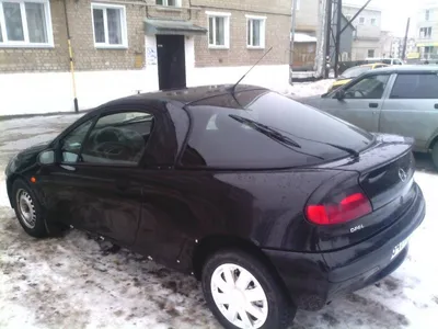 Купить б/у Opel Tigra A 1.4 MT (90 л.с.) бензин механика в Коломне: чёрный Опель  Тигра A купе 1997 года на Авто.ру ID 1079902674