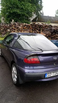 Opel Tigra 1.4 бензиновый 1998 | Зелёная кошка на DRIVE2