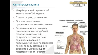 Как паразиты влияют на состояние кожи: признаки заражения организма  паразитами и методы лечения паразитарных заболеваний | Косметология и  эстетическая медицина | Дзен