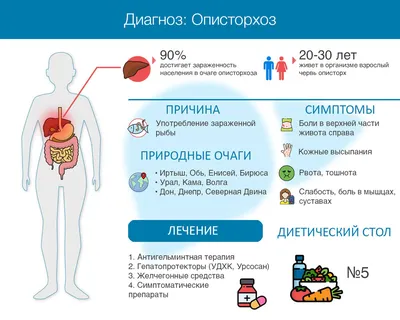 Опасными «шевелящимися под кожей» паразитами заразили комары жителей  Ростовской области
