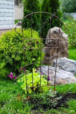 Support for clematis - DIY trellis for climbing plants - YouTube