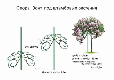 Опора обелиск для роз и клематисов в интернет-магазине Ярмарка Мастеров по  цене 13500 ₽ – OD5FMBY | Клумба, Лобня - доставка по России