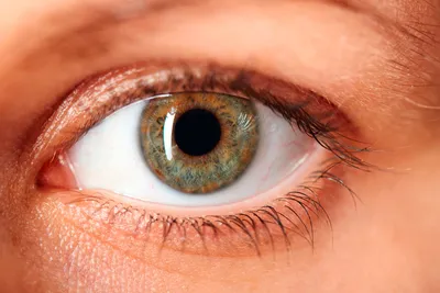 Рак глаза и глазницы: диагностика и хирургическое лечение в Одессе |  Медицинский дом Odrex