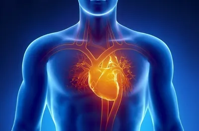 В РФ впервые удалили опухоль сердца без искусственного кровообращения - РИА  Новости, 14.09.2011