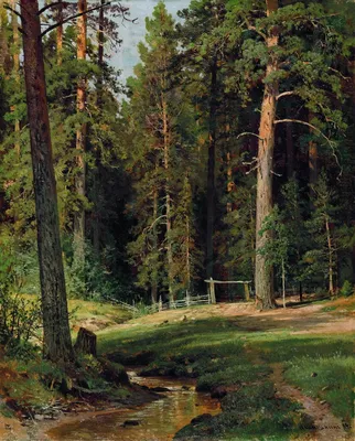File:Опушка леса (Шишкин, 1884).jpg - Wikipedia