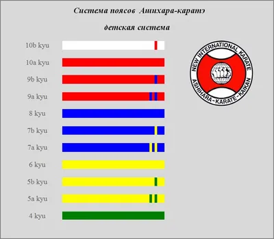 Какие пояса бывают в карате — Спортмастер Медиа