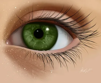 Ореховые глаза» — создано в Шедевруме