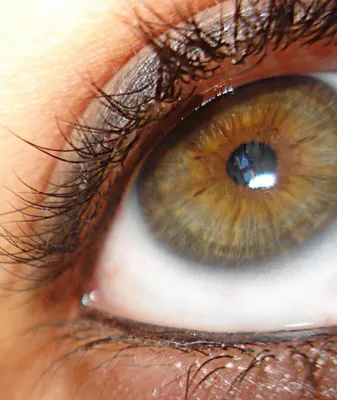 Цветные характеры, или что цвет глаз может рассказать о вашей личности |  Живи смелее и богаче | Дзен
